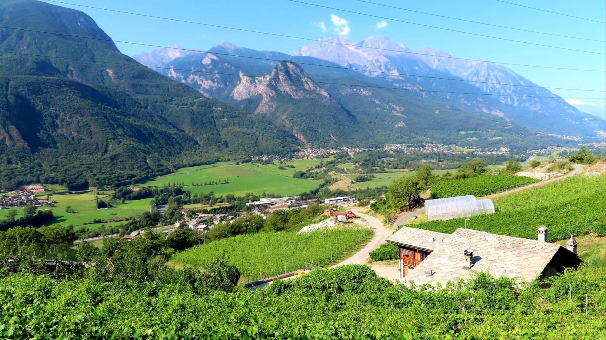 La Vrille - Chambres D'Hotes Verrayes Экстерьер фото