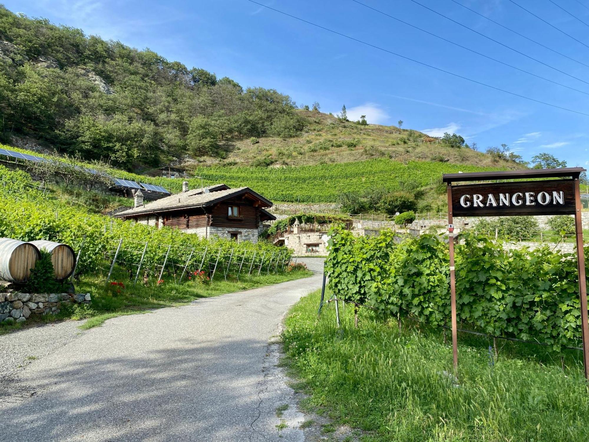 La Vrille - Chambres D'Hotes Verrayes Экстерьер фото